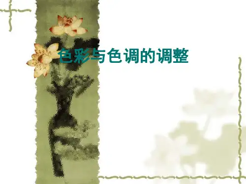 色彩与色调的调整PPT课件