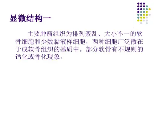 软骨肉瘤的病理及影像学表现共23页