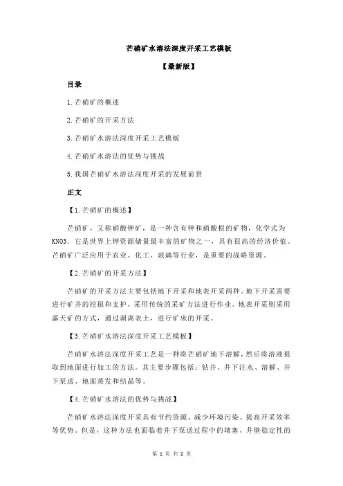 芒硝矿水溶法深度开采工艺模板