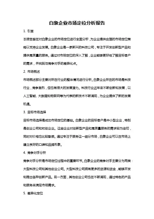 白象企业市场定位分析报告