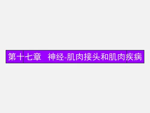 神经肌接头疾病