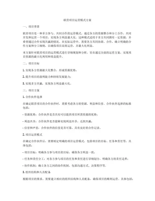 联营项目运营模式方案