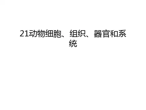 最新21动物细胞、组织、器官和系统汇总