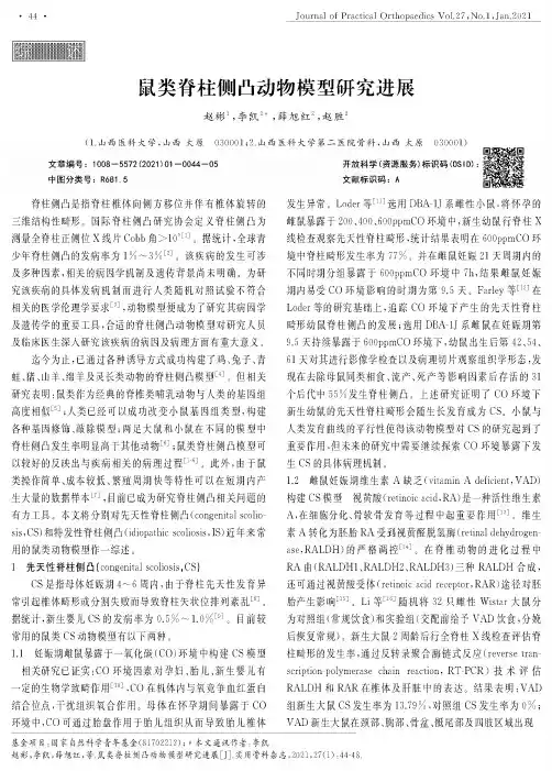 鼠类脊柱侧凸动物模型研究进展