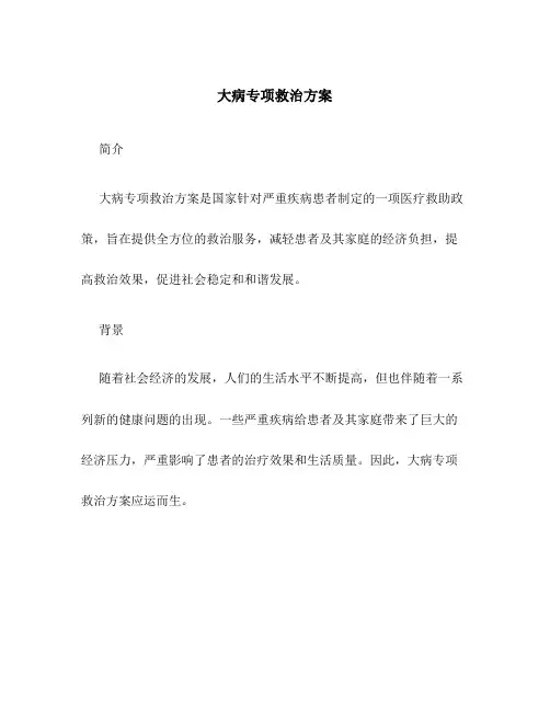 大病专项救治方案