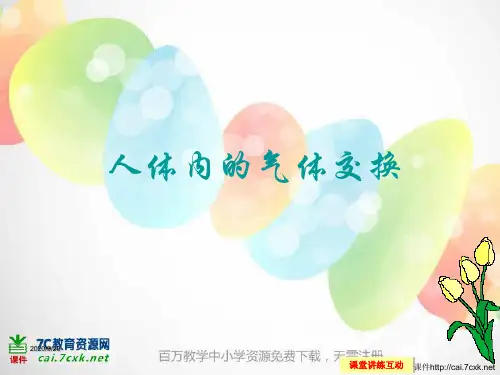 《人体内的气体交换》PPT课件
