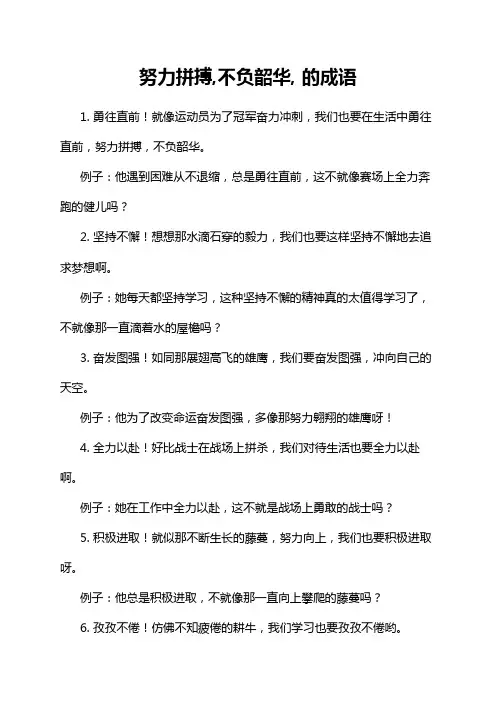 努力拼搏,不负韶华, 的成语