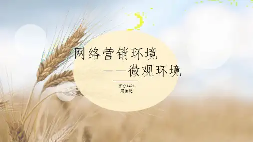 网络营销环境-微观环境ppt课件