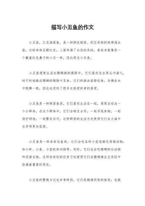 描写小丑鱼的作文