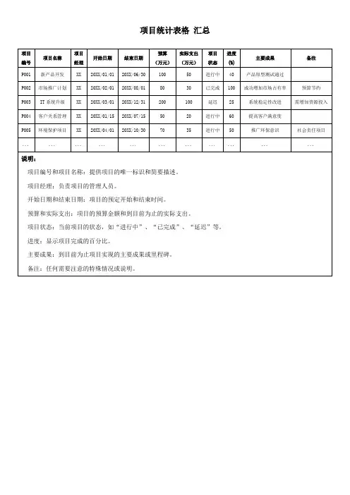 项目统计表格 汇总