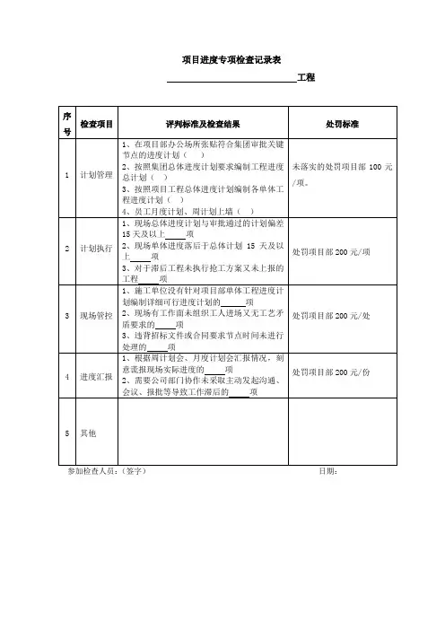 项目进度专项检查记录表
