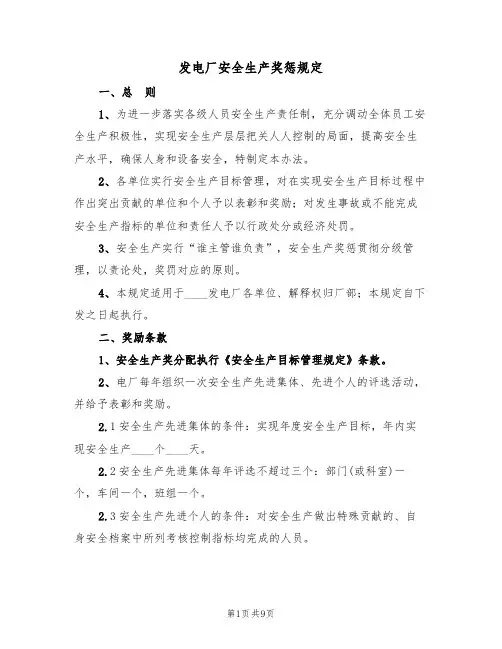 发电厂安全生产奖惩规定（5篇）
