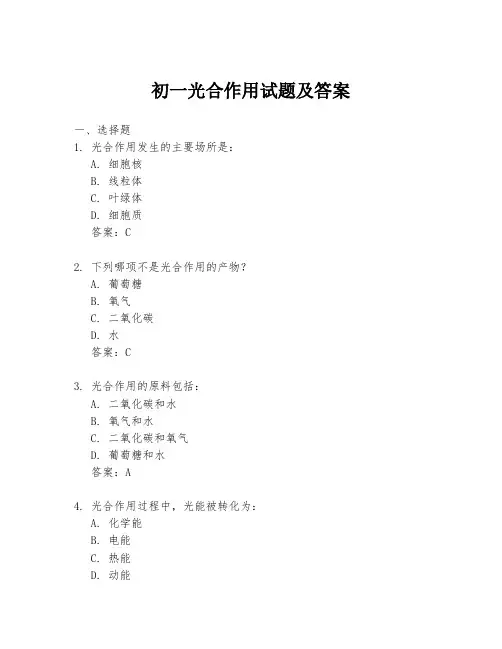 初一光合作用试题及答案