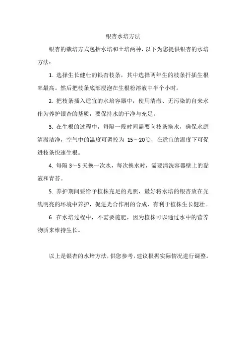 银杏水培方法
