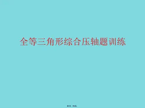 全等三角形综合压轴题训练(详细介绍“关系”共8张)