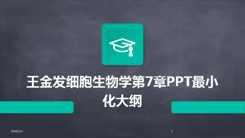 2024年度王金发细胞生物学第7章PPT最小化大纲