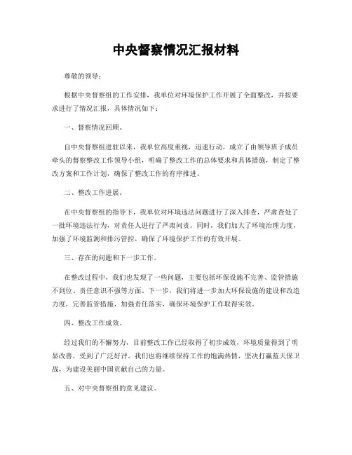 中央督察情况汇报材料