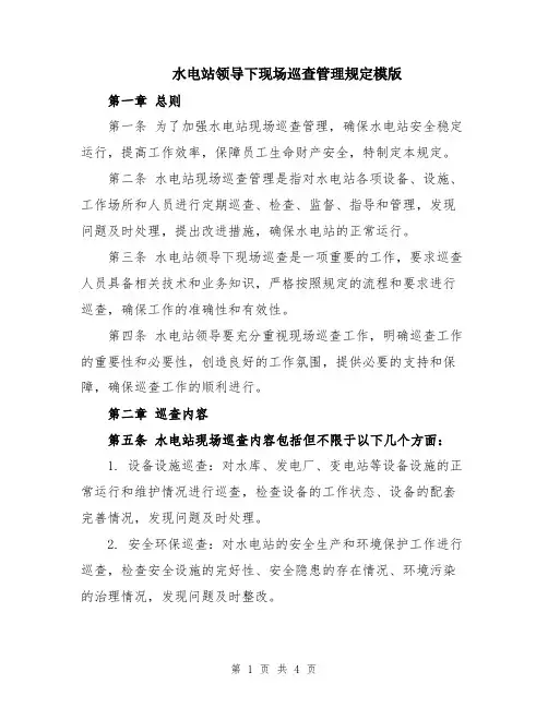 水电站领导下现场巡查管理规定模版