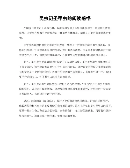 昆虫记圣甲虫的阅读感悟