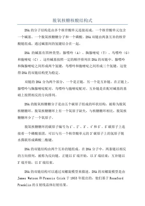 脱氧核糖核酸结构式