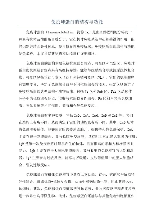 免疫球蛋白的结构与功能