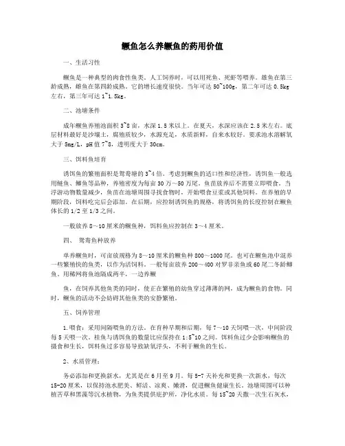 鳜鱼怎么养鳜鱼的药用价值