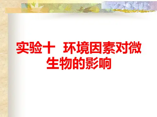 实验十+环境因素对微生物的影响