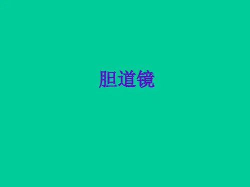 胆道镜  ppt课件