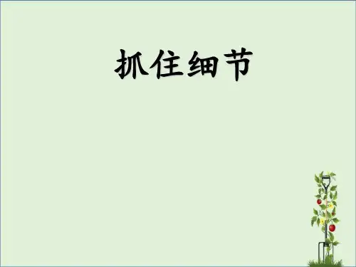 习作：抓住细节剖析