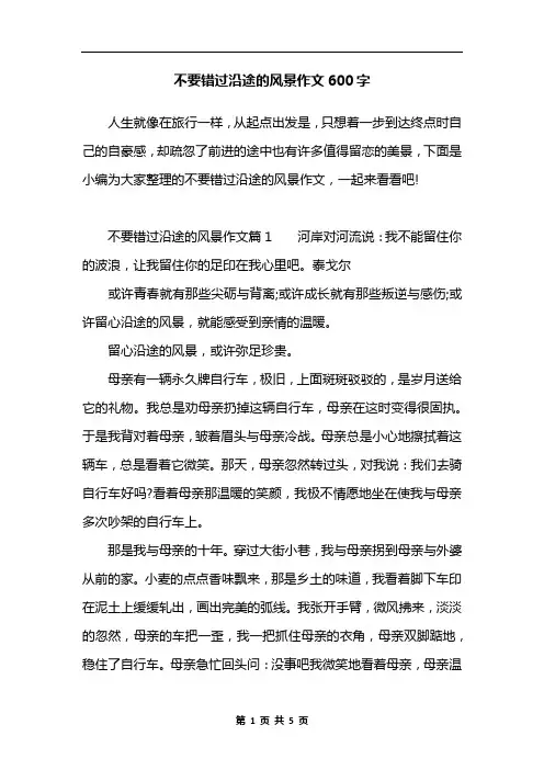 不要错过沿途的风景作文600字