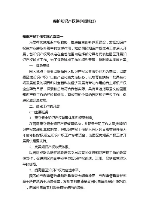 保护知识产权保护措施（2）