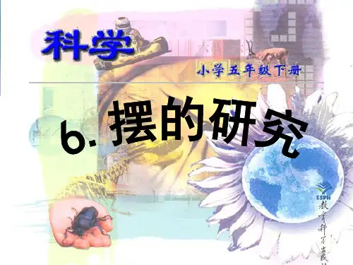 摆的研究_精品文档