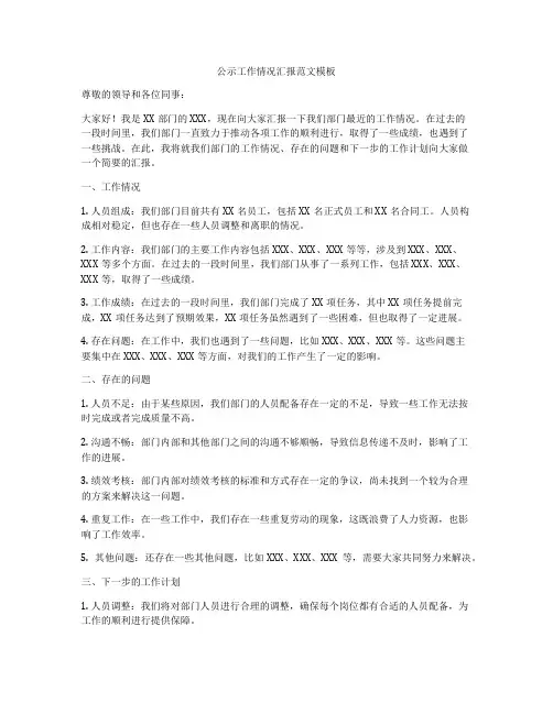 公示工作情况汇报范文模板