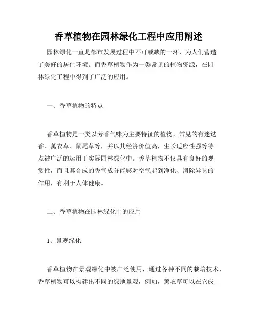 香草植物在园林绿化工程中应用阐述