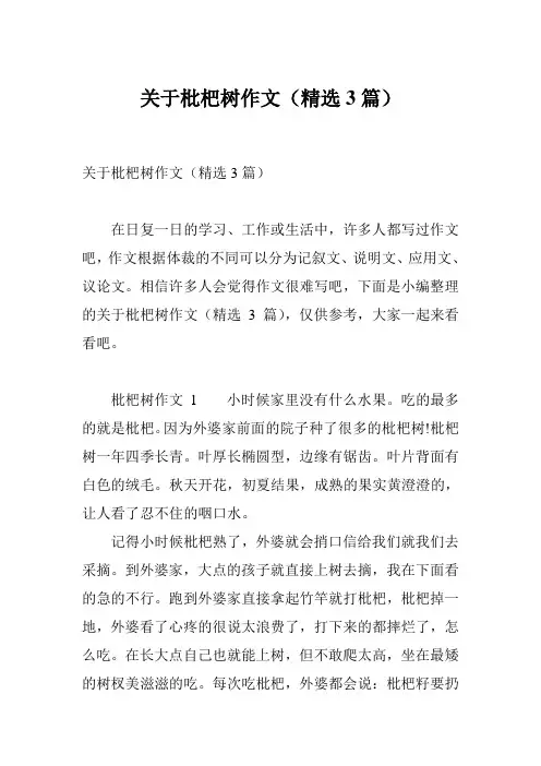 关于枇杷树作文(精选3篇)