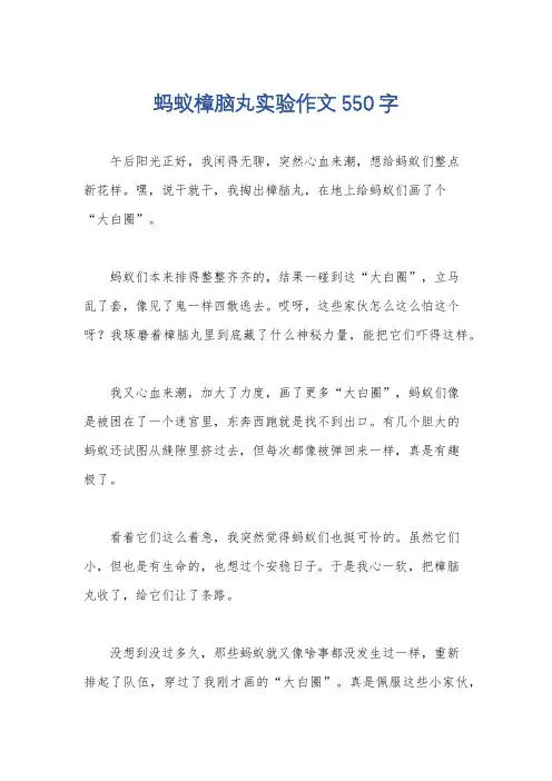 蚂蚁樟脑丸实验作文550字