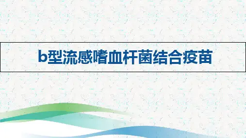 Hib疫苗