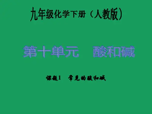 酸和碱课件PPT