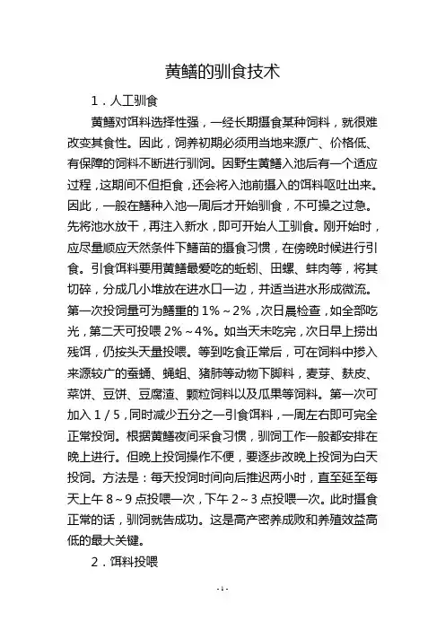 黄鳝的驯食技术