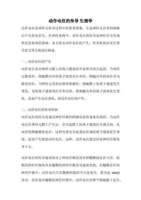 动作电位的传导 生理学