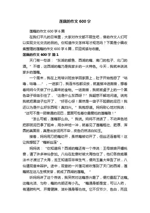 莲藕的作文600字6篇