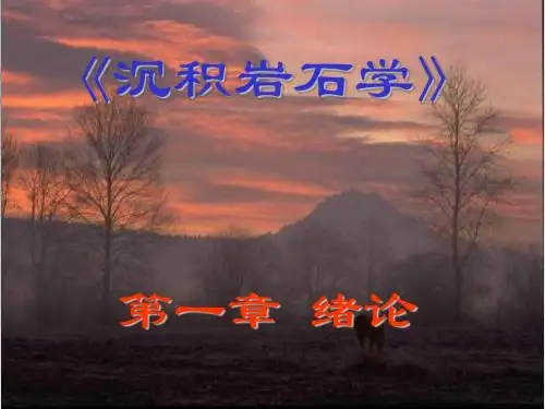 沉积岩课件