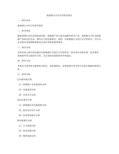 新能源公司可行性研究报告