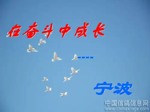 宁波近现代史