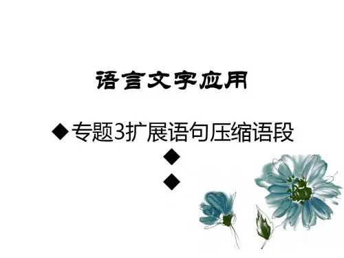 2019版高考语文A版一轮复习：语言文字应用ppt (3)