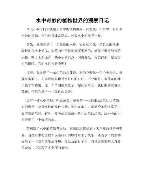 小学三年级作文水中奇妙的植物世界的观察日记