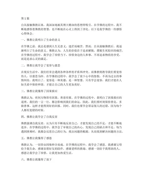 学佛感悟心得体会(3篇)