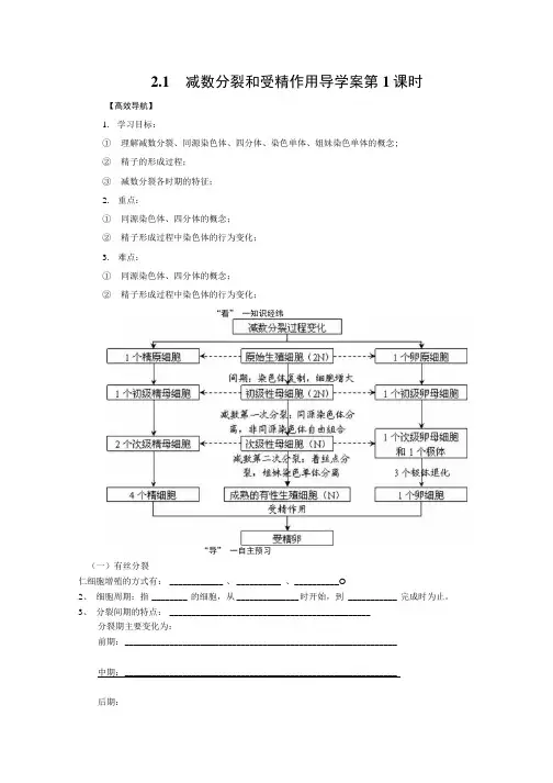 人教版高一必修二21《减数分裂》导学案1.docx