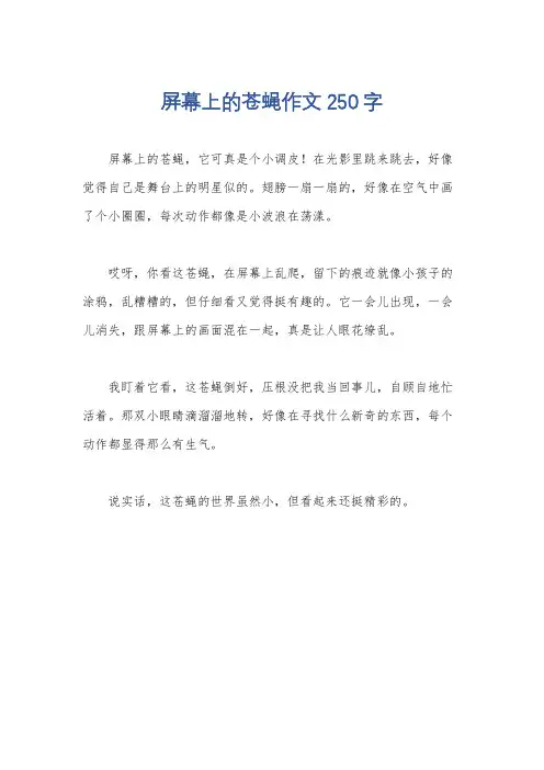 屏幕上的苍蝇作文250字