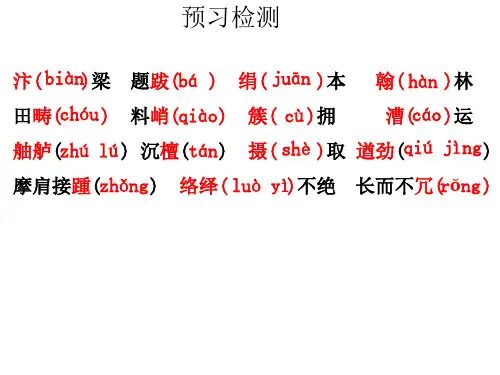《梦回繁华》课件(25页)